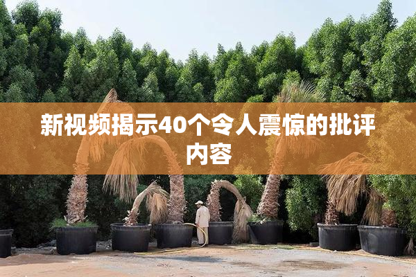 新视频揭示40个令人震惊的批评内容