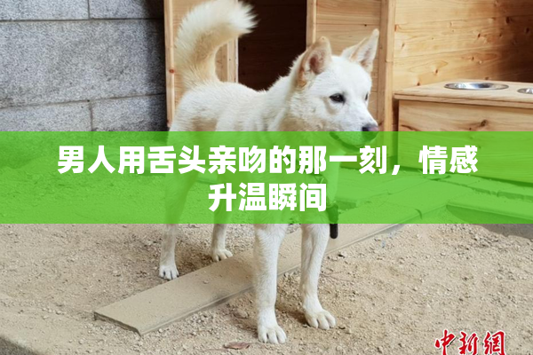 男人用舌头亲吻的那一刻，情感升温瞬间