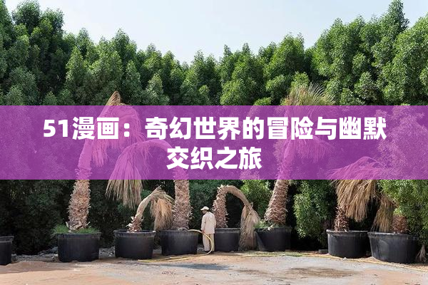 51漫画：奇幻世界的冒险与幽默交织之旅