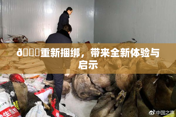 🔞重新捆绑，带来全新体验与启示