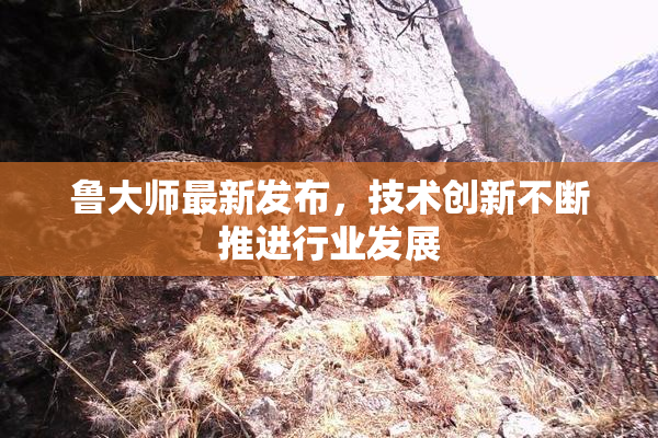 鲁大师最新发布，技术创新不断推进行业发展