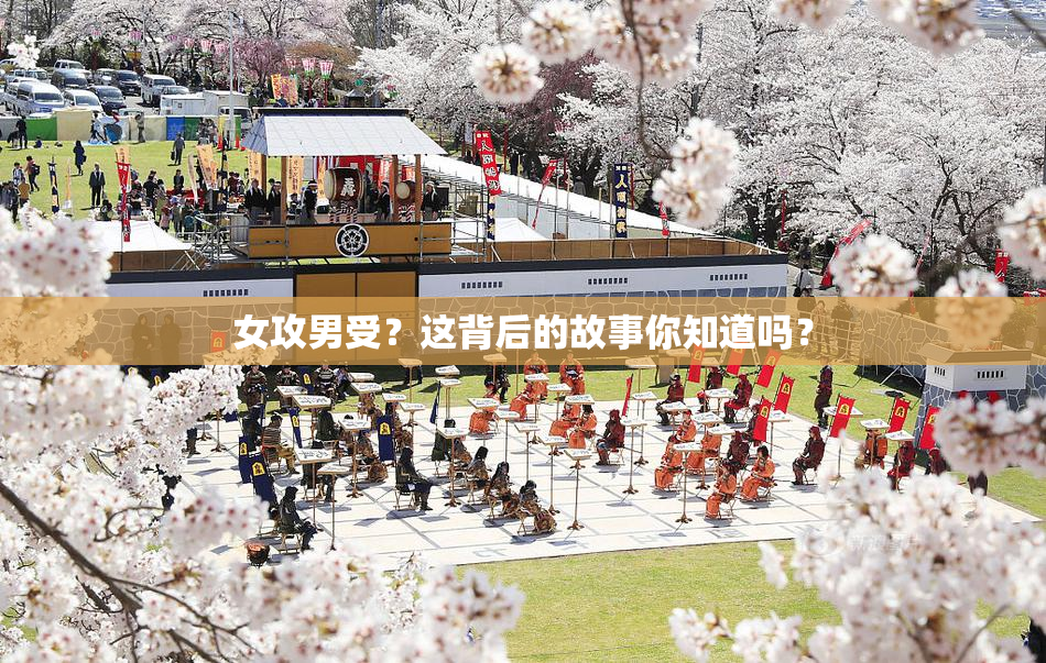 女攻男受？这背后的故事你知道吗？