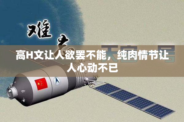 高H文让人欲罢不能，纯肉情节让人心动不已