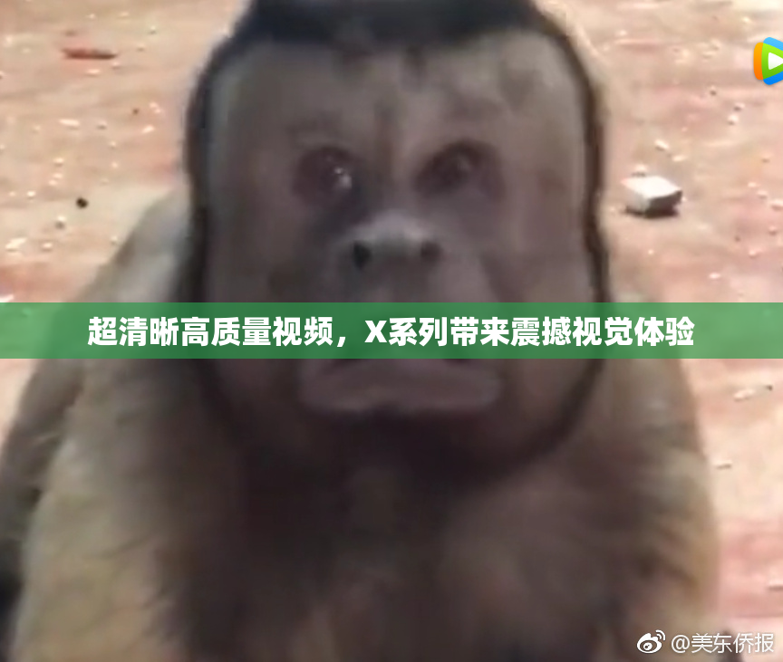 超清晰高质量视频，X系列带来震撼视觉体验