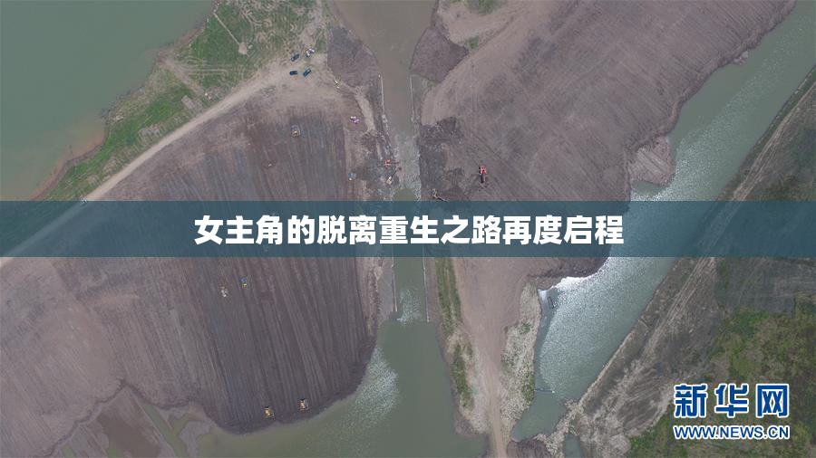 女主角的脱离重生之路再度启程