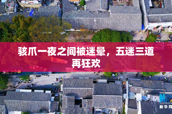 骇爪一夜之间被迷晕，五迷三道再狂欢