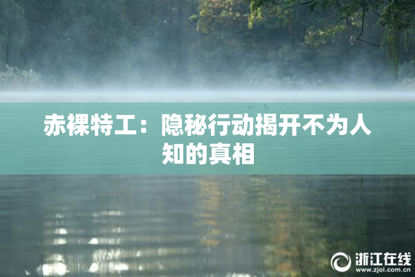 赤裸特工：隐秘行动揭开不为人知的真相
