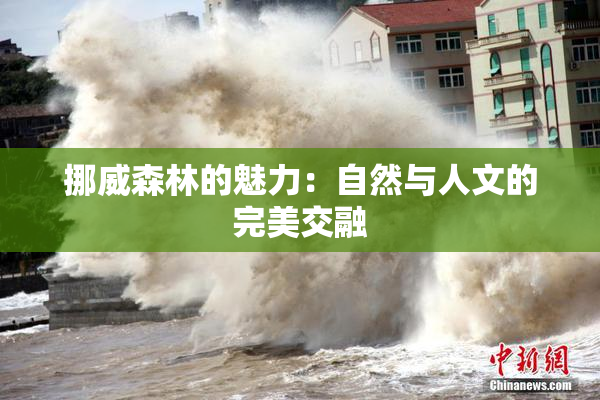 挪威森林的魅力：自然与人文的完美交融