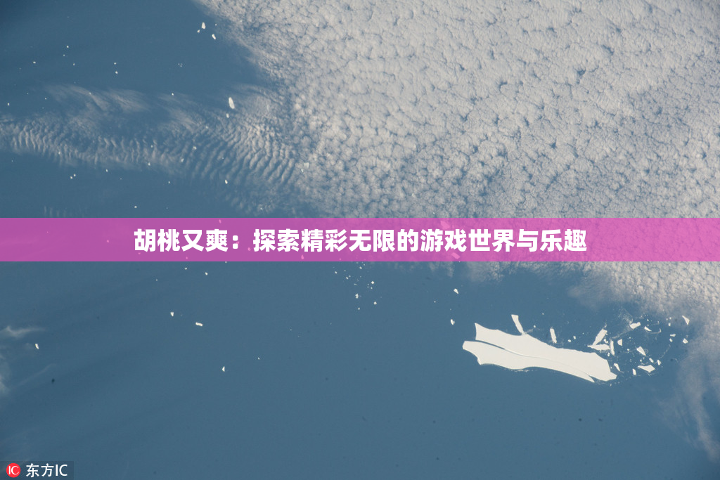 胡桃又爽：探索精彩无限的游戏世界与乐趣