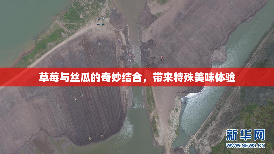 草莓与丝瓜的奇妙结合，带来特殊美味体验