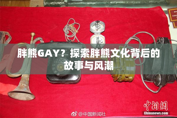 胖熊GAY？探索胖熊文化背后的故事与风潮
