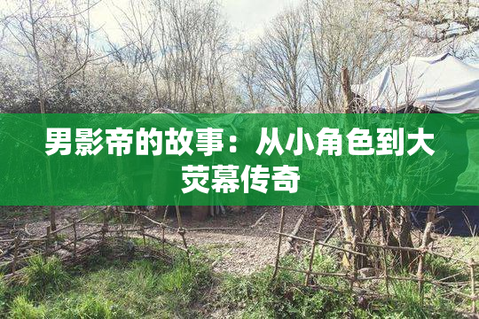 男影帝的故事：从小角色到大荧幕传奇