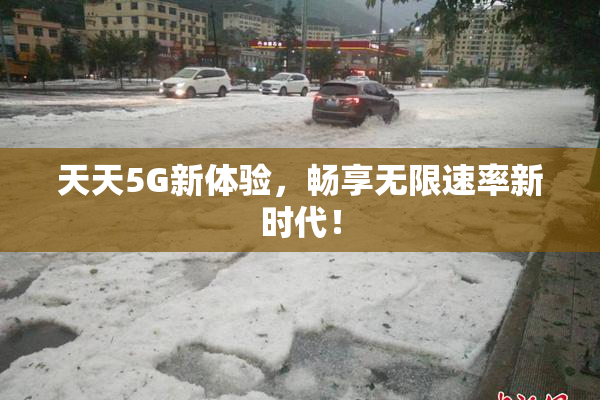 天天5G新体验，畅享无限速率新时代！