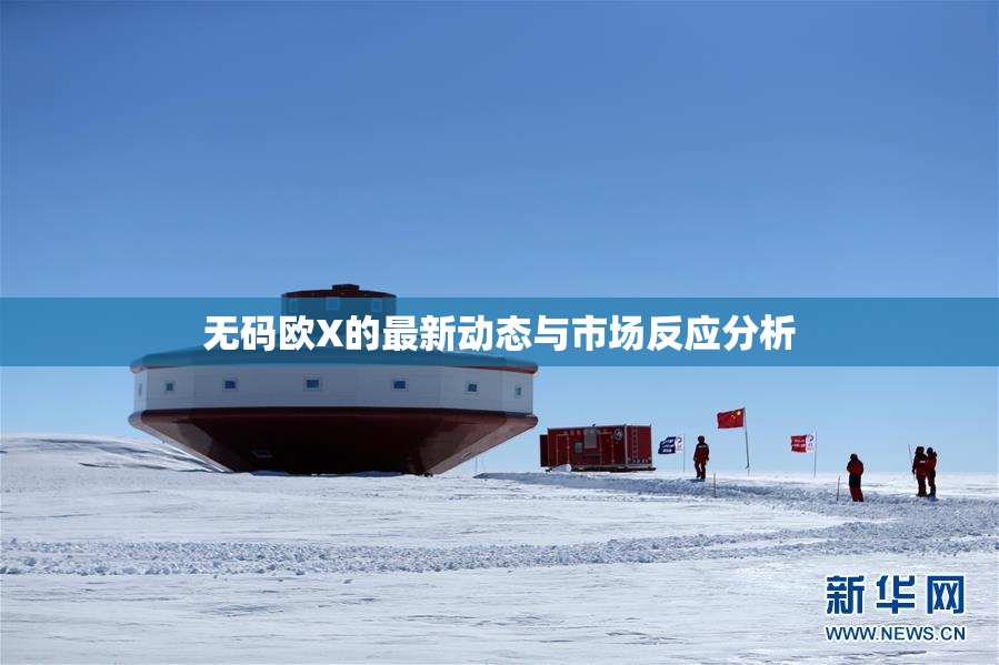 无码欧X的最新动态与市场反应分析