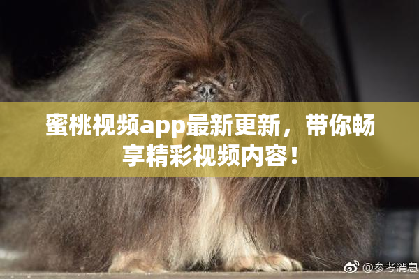 蜜桃视频app最新更新，带你畅享精彩视频内容！