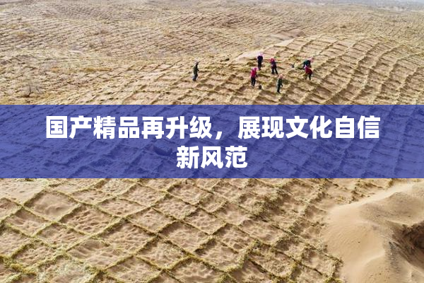 国产精品再升级，展现文化自信新风范
