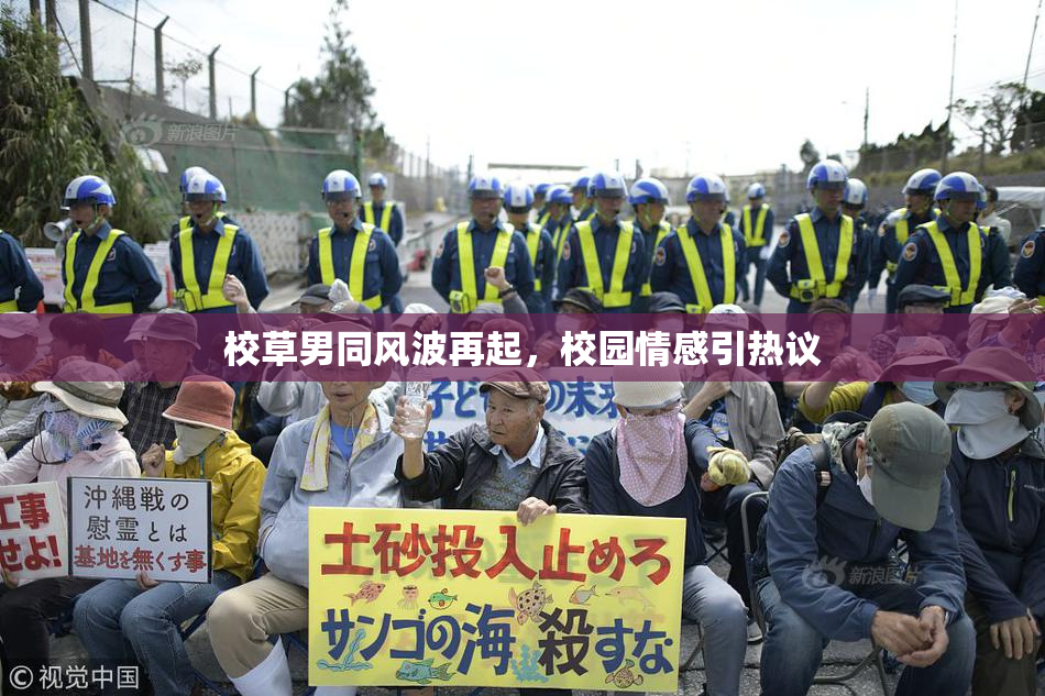 校草男同风波再起，校园情感引热议