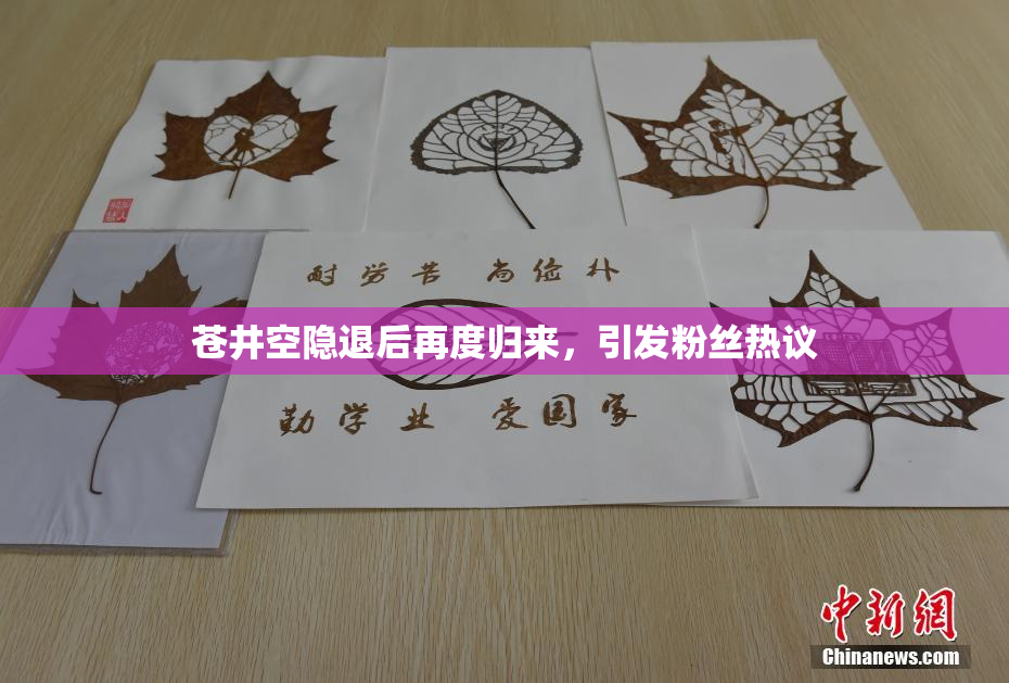 苍井空隐退后再度归来，引发粉丝热议