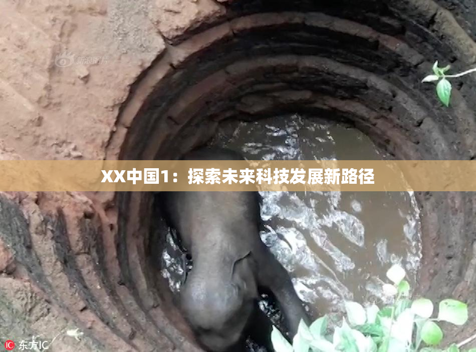 XX中国1：探索未来科技发展新路径