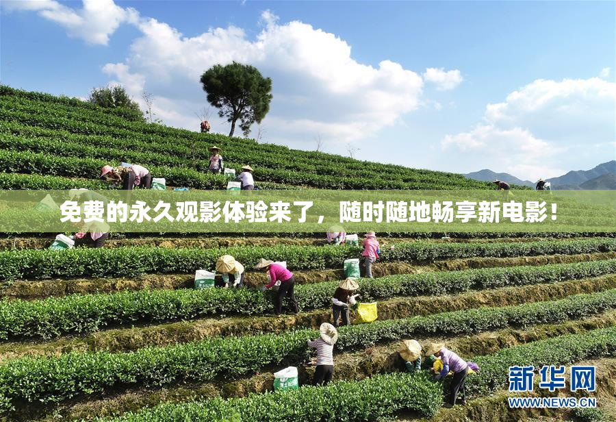 免费的永久观影体验来了，随时随地畅享新电影！