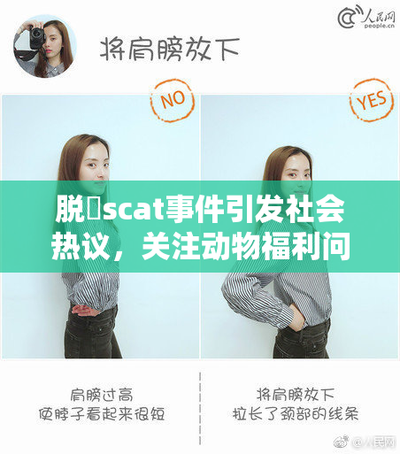 脱糞scat事件引发社会热议，关注动物福利问题