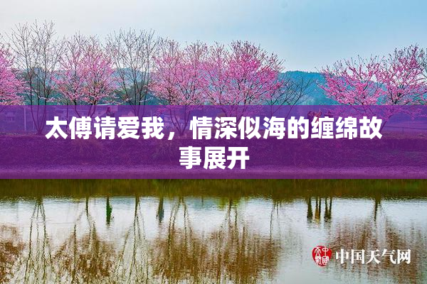 太傅请爱我，情深似海的缠绵故事展开
