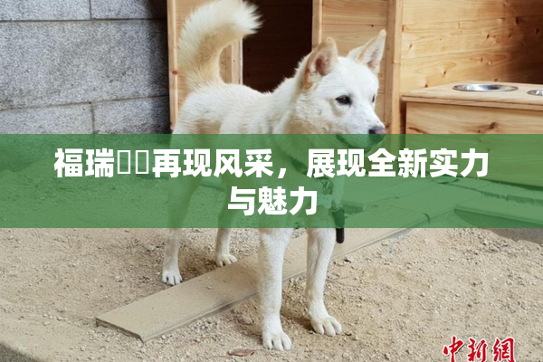 福瑞涊涊再现风采，展现全新实力与魅力