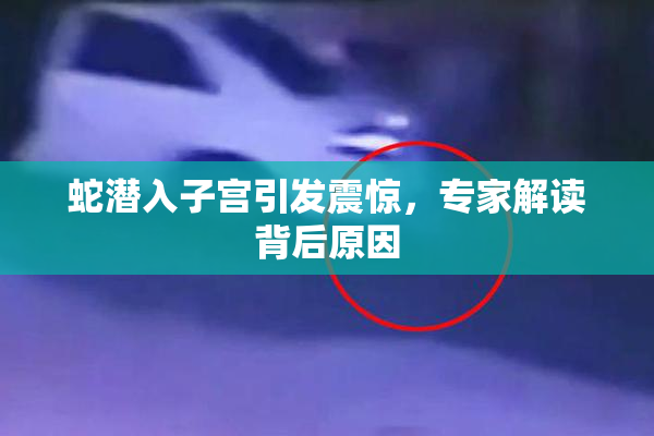 蛇潜入子宫引发震惊，专家解读背后原因