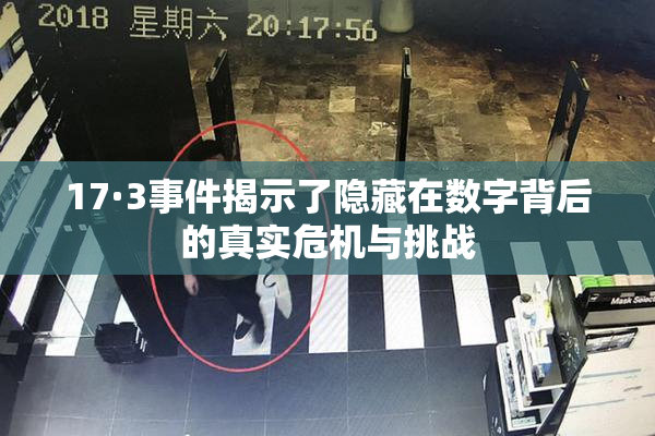 17·3事件揭示了隐藏在数字背后的真实危机与挑战