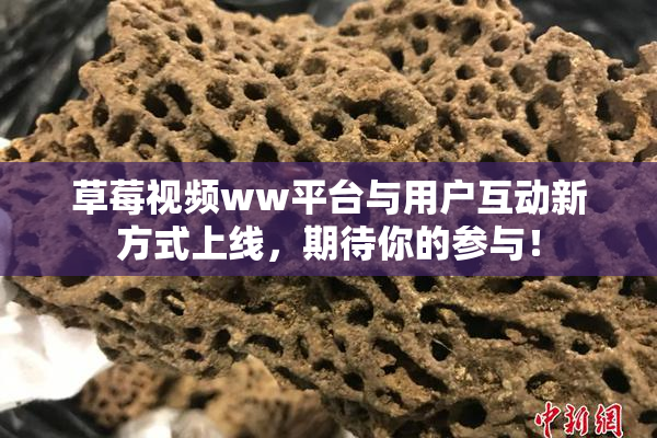 草莓视频ww平台与用户互动新方式上线，期待你的参与！