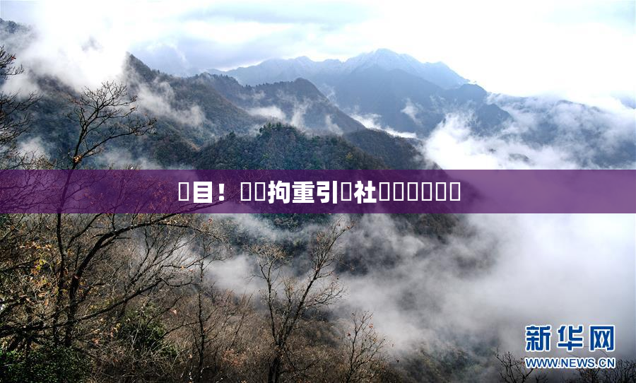 矚目！緊縛拘重引發社會熱議與討論