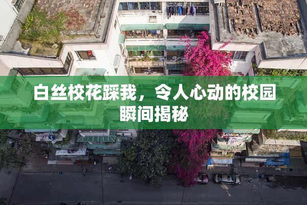 白丝校花踩我，令人心动的校园瞬间揭秘