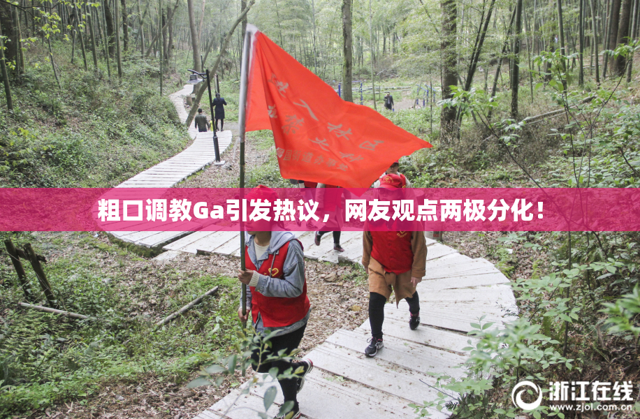 粗口调教Ga引发热议，网友观点两极分化！