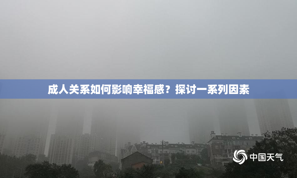 成人关系如何影响幸福感？探讨一系列因素