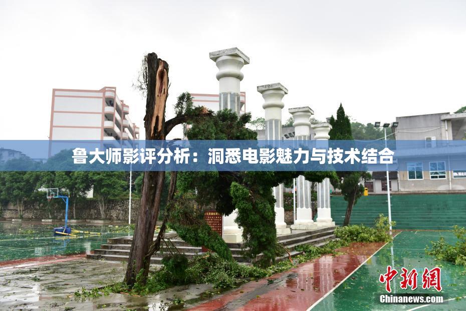 鲁大师影评分析：洞悉电影魅力与技术结合