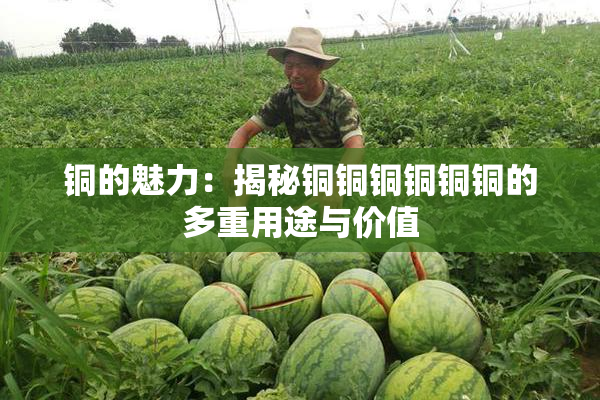 铜的魅力：揭秘铜铜铜铜铜铜的多重用途与价值