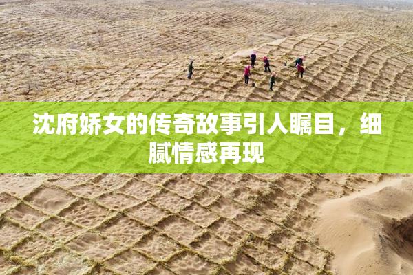 沈府娇女的传奇故事引人瞩目，细腻情感再现
