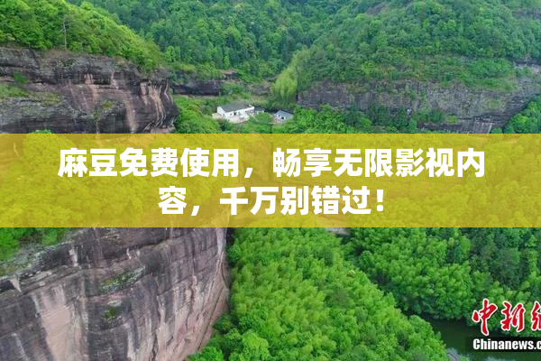 麻豆免费使用，畅享无限影视内容，千万别错过！