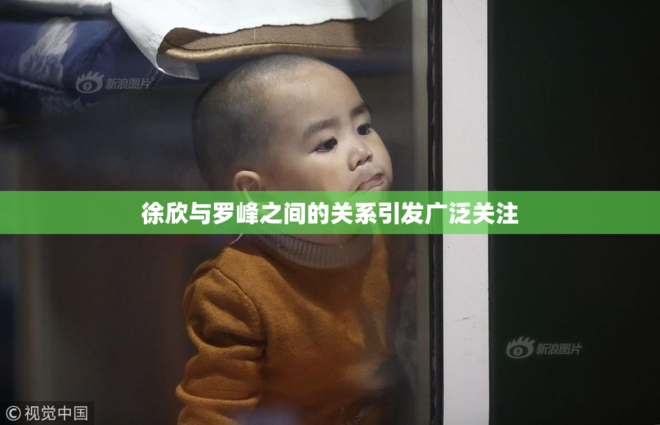 徐欣与罗峰之间的关系引发广泛关注