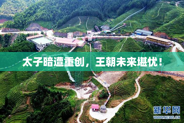 太子暗遭重创，王朝未来堪忧！
