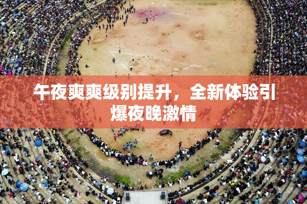 午夜爽爽级别提升，全新体验引爆夜晚激情