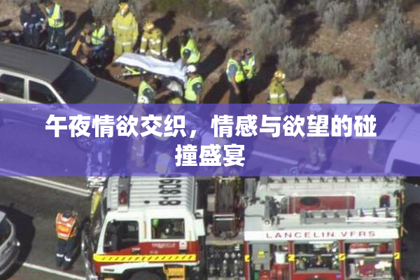 午夜情欲交织，情感与欲望的碰撞盛宴