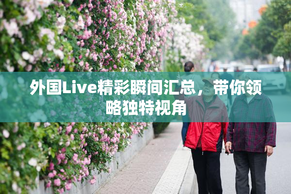 外国Live精彩瞬间汇总，带你领略独特视角