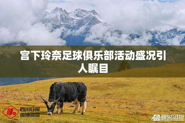 宫下玲奈足球俱乐部活动盛况引人瞩目