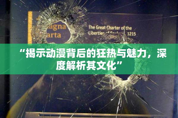 “揭示动漫背后的狂热与魅力，深度解析其文化”