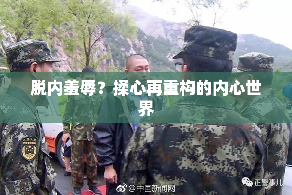 脱内羞辱？揉心再重构的内心世界