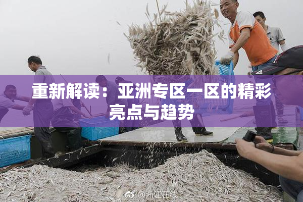 重新解读：亚洲专区一区的精彩亮点与趋势