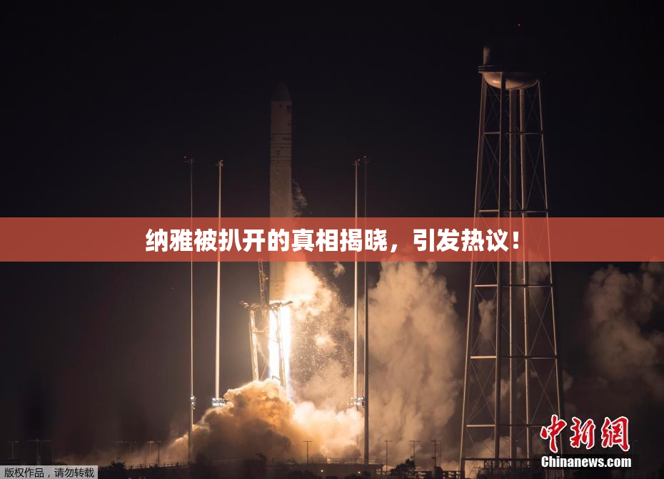 纳雅被扒开的真相揭晓，引发热议！