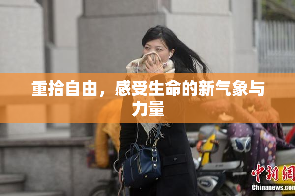 重拾自由，感受生命的新气象与力量