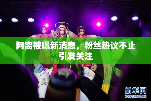 阿离被曝新消息，粉丝热议不止引发关注